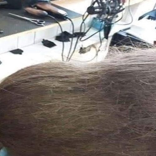 O chumaço de cabelo mais sinistro que você verá hoje!
