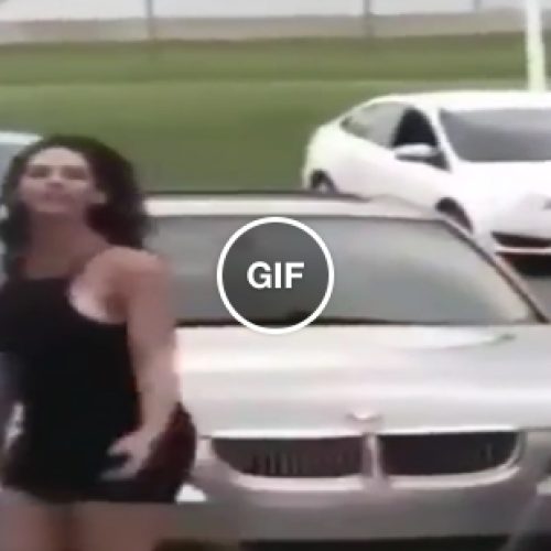 Aleatoriedade do dia ¯\(°_o)/¯