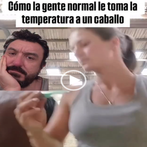 Tiradeira de temperatura profissional