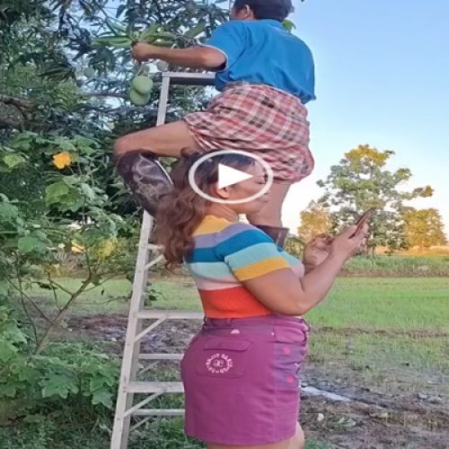 Coletânea de videozinhos peculiares, pra alegar o seu final de semana #64